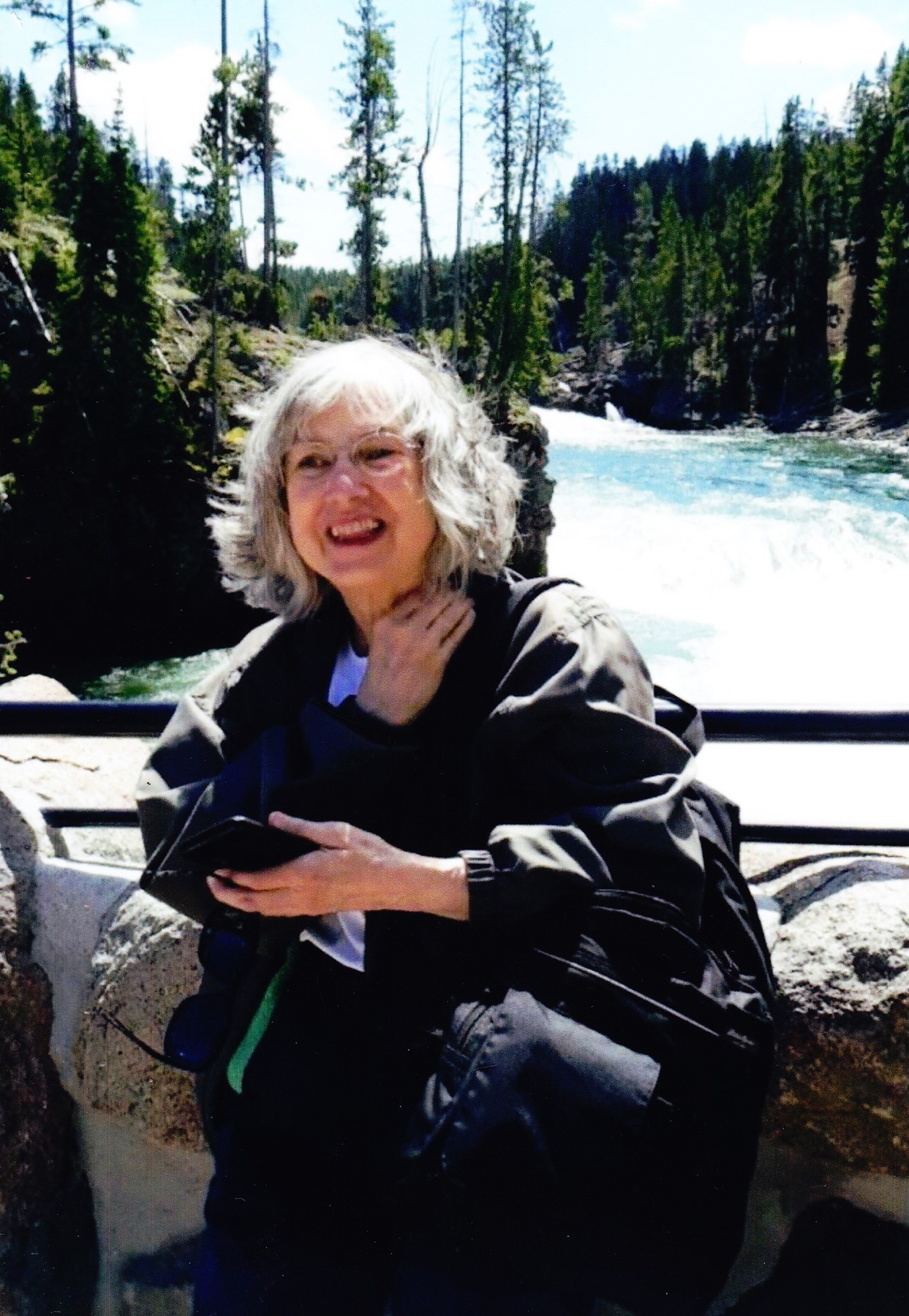 Obituary of Brenda Howe