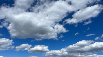 Obituario de Inge Wolff