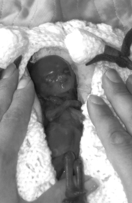 Obituary of Jackson Shawn Cloud Gauley