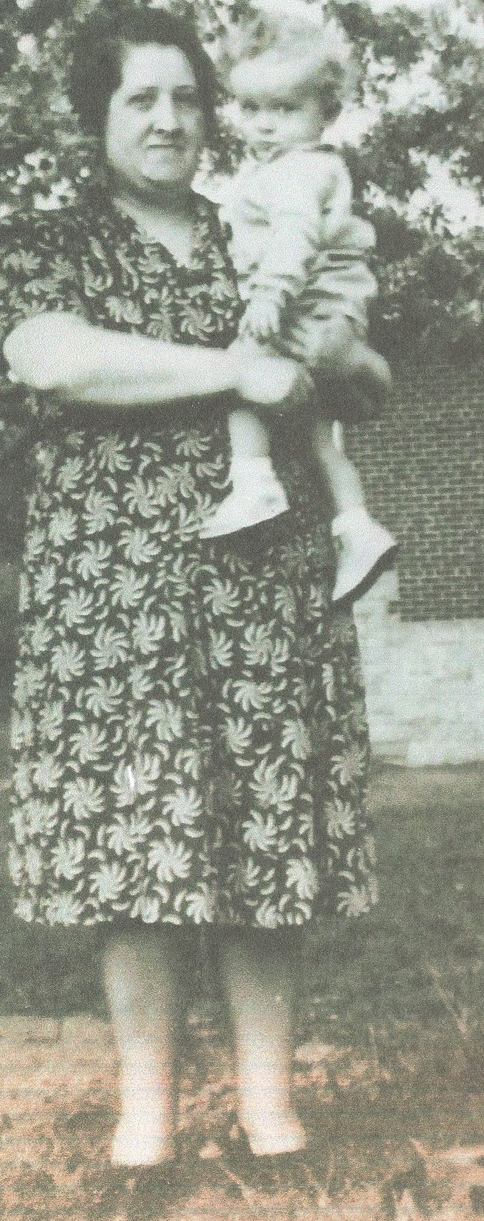hobbs marietta dress