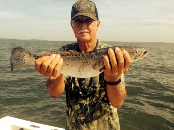 Obituary of Walter Ray Starling