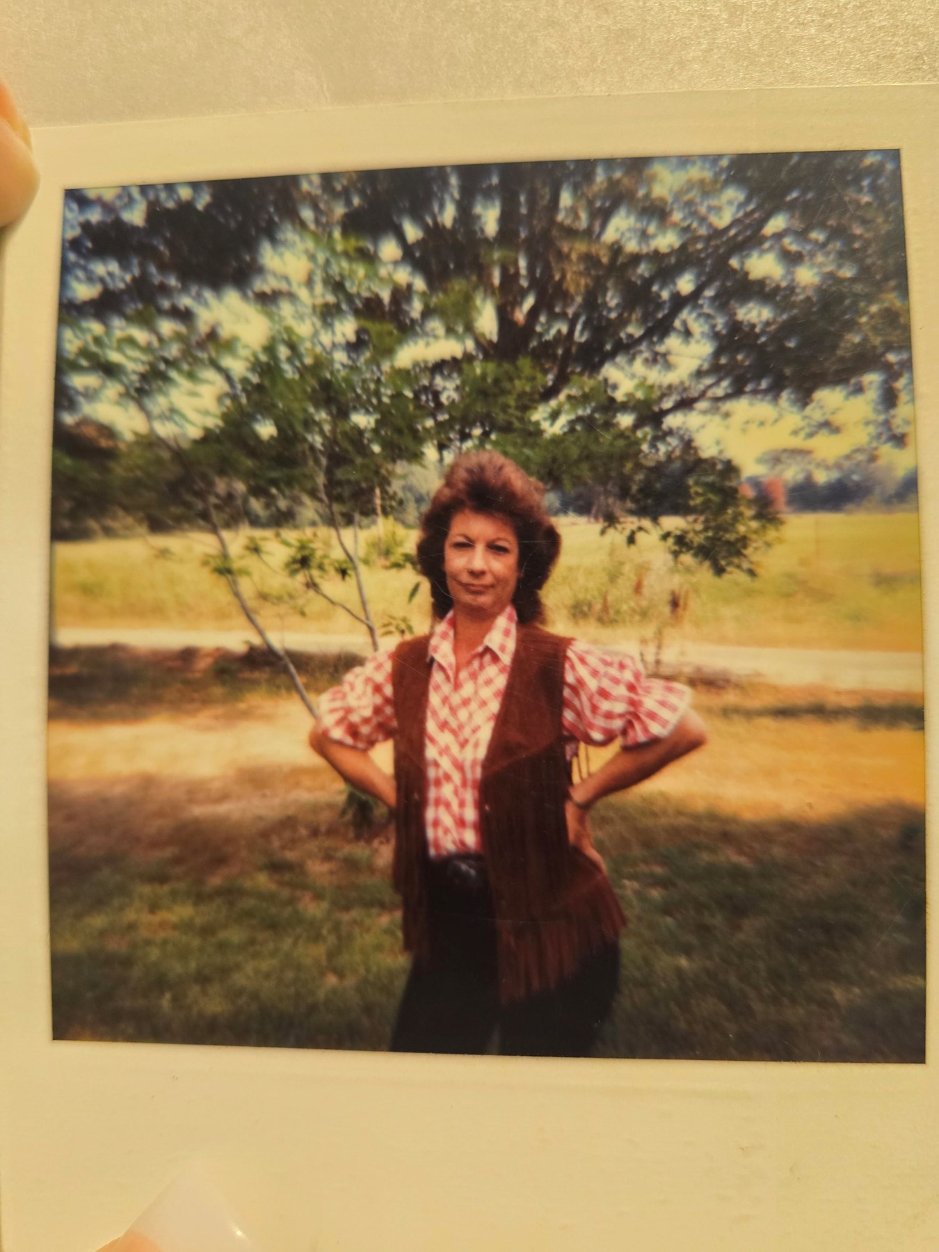 Obituary of Shirley Jean (Murphy) Lout