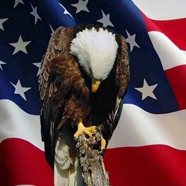 Obituary of Donald Crippen