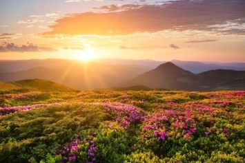 Obituary of Celina Gabrielle Clark