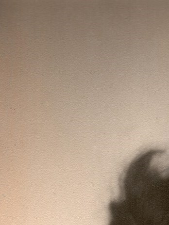 Gloria Castillo Obituary - Dallas, TX