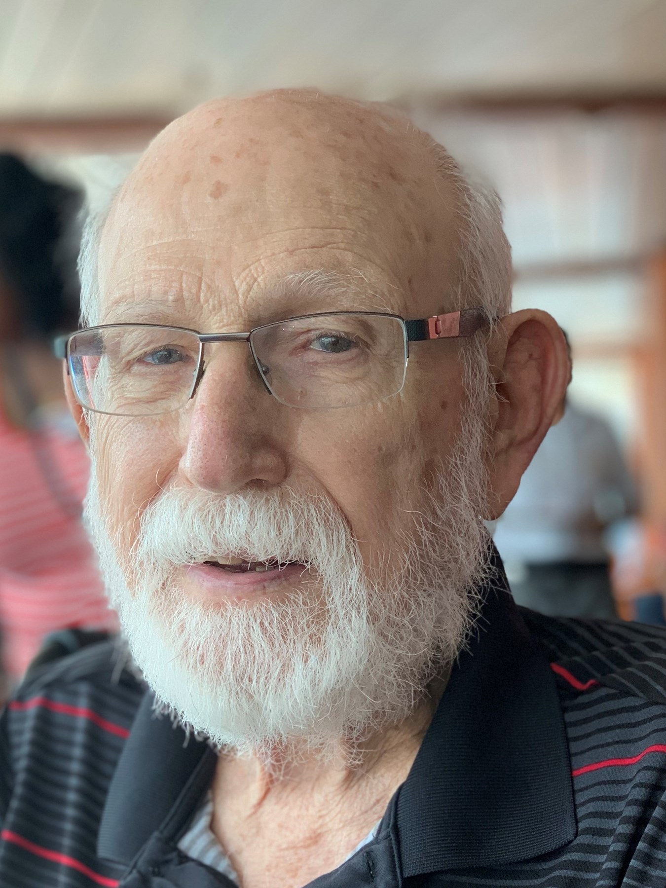 Obituary of Albert "Al" Camille Romano