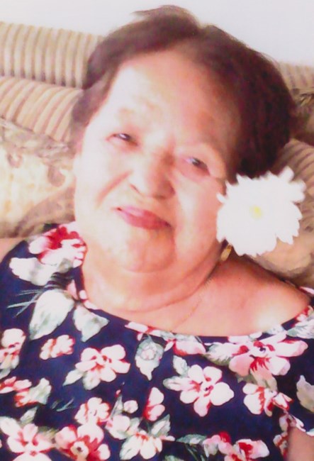 Obituary of Baudelia Torres Mejia