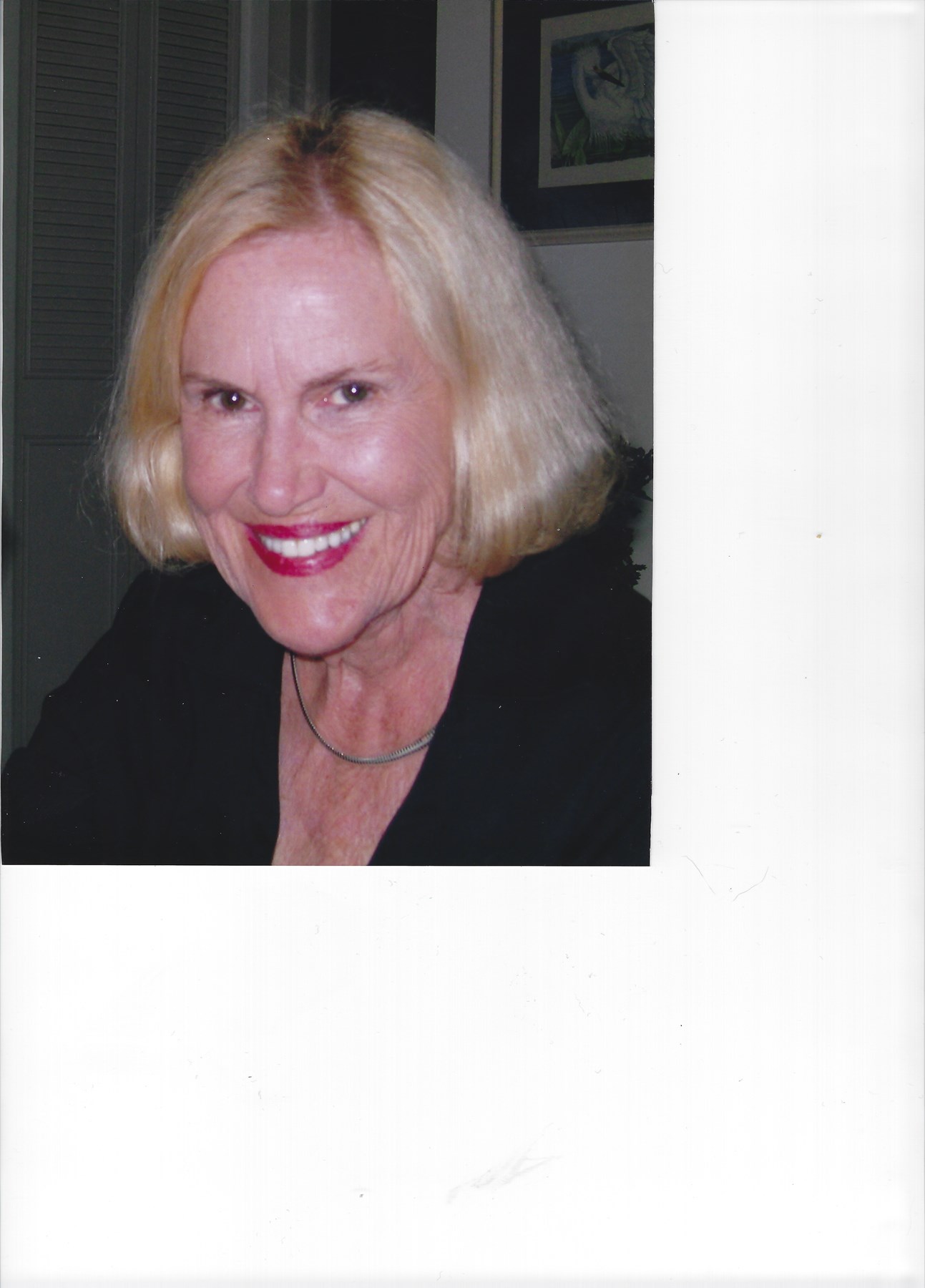 Obituary of Patricia Anna (Clay) Hussey