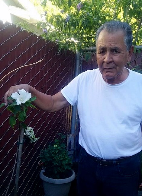 Obituary of Manuel Aguayo Moreno