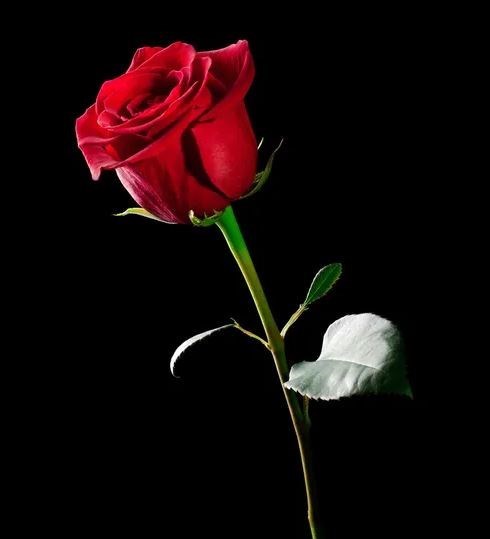 Obituary of Charles William Botbyl