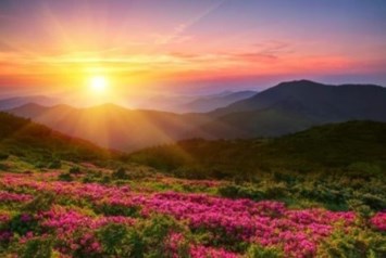 Obituary of Laura Tawil