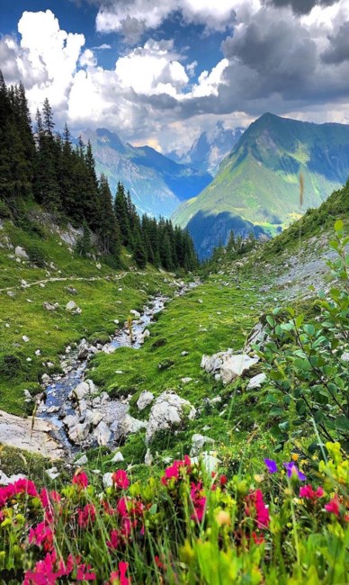 Obituary of Jesse Donald Michael Cloyd