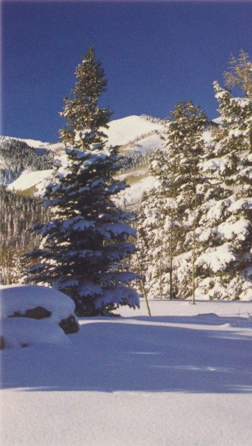 Avis de décès de Jimmie Lee Strickland