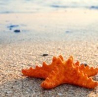 Obituary of Cecil Calton Leonard