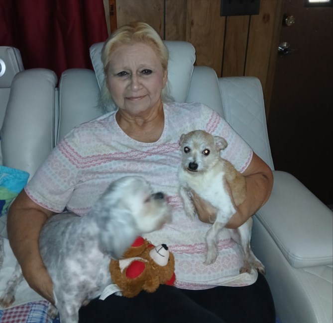 Obituary of Laura M. Perkins