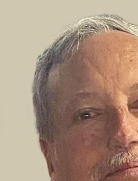 Mark Davis Obituary - St. Louis, MO