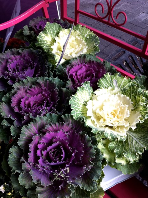 Avis de décès de Danielle Johnson