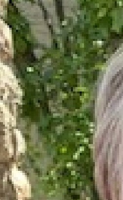 Sara Sampeer Obituary - Rochester, MI