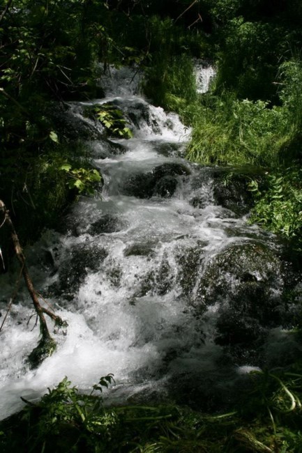 Obituary of Terry Ehn