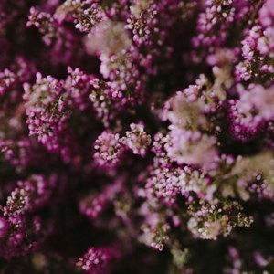 Obituary of Theresa Powell