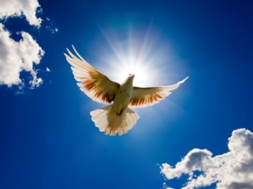 Obituary of Casimer Rudolph Brenda
