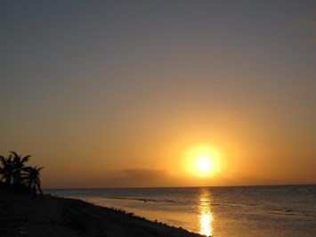 Obituary of Robert Timko