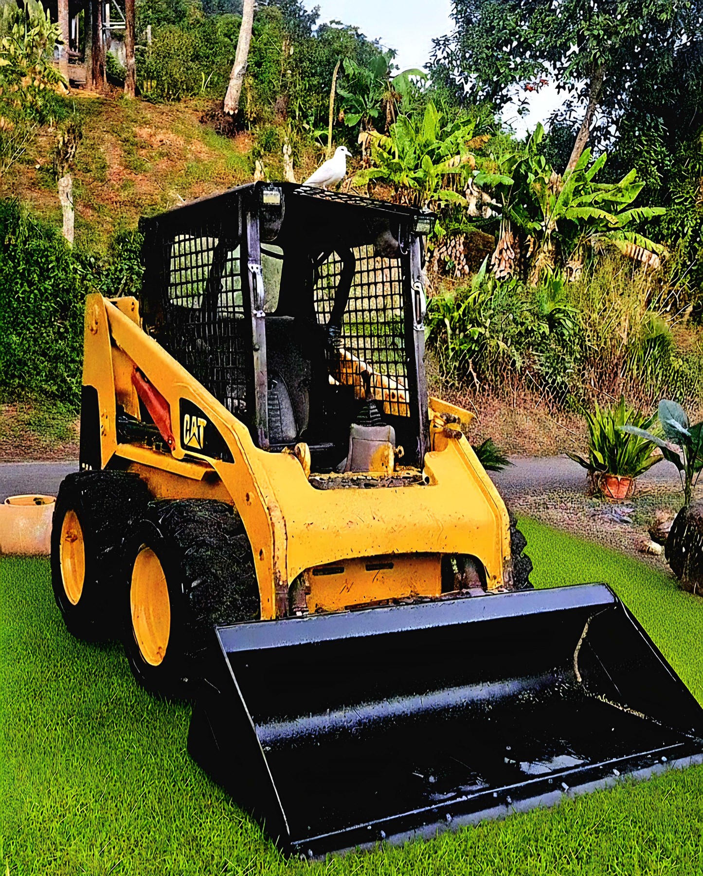 Obituario de José Efraín Ortiz Escribano