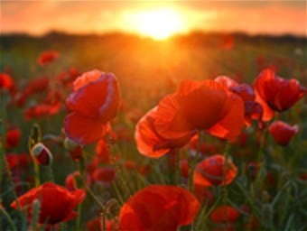 Obituary of Mary Louise "Lawrence" Hughes