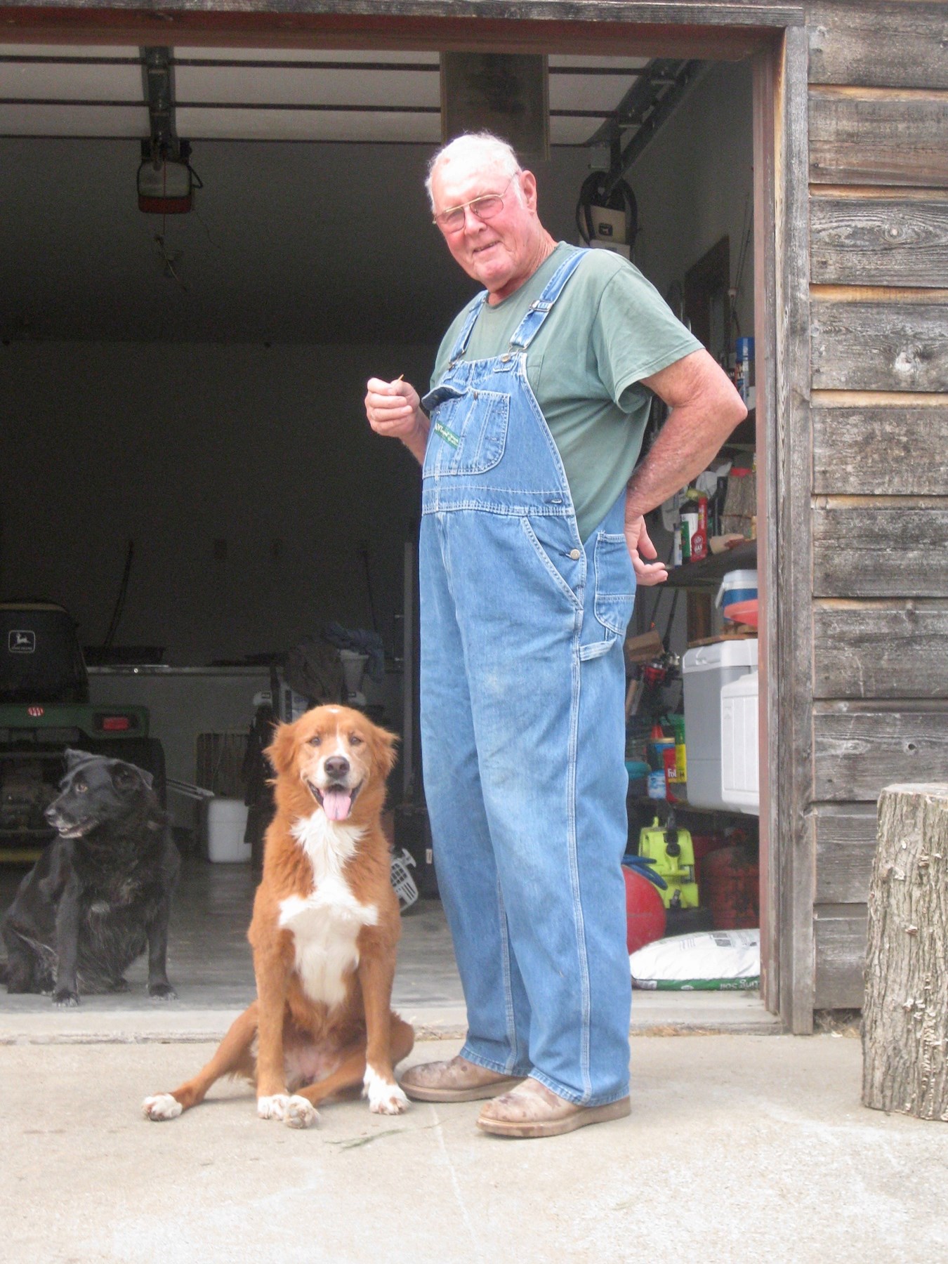 Obituary of Mr. Donald Glenn Collins