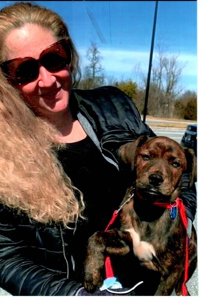 Obituary of Jillian Ellisa Weiss