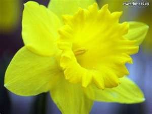 Obituary of Alice C Bryant