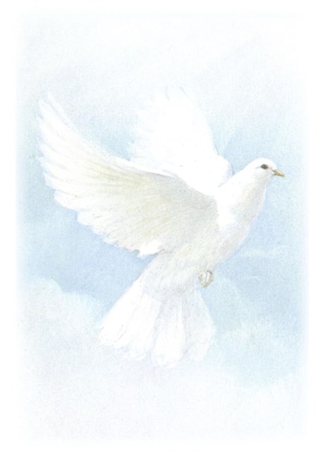 Avis de décès de Terry A. Richard