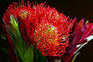 Obituary of Audry M Kravarik