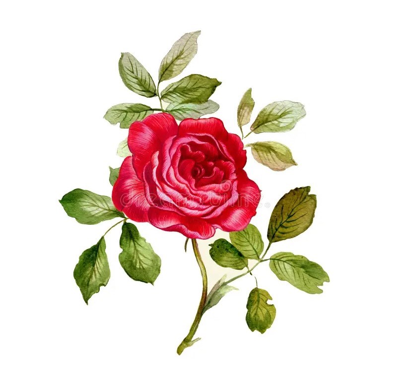 Obituary of Cynthia M. Beirne