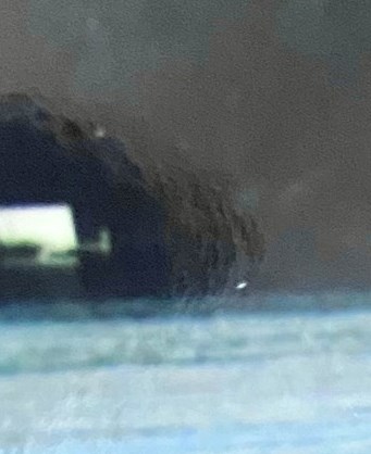 Herbert Ritter Obituary - Arlington Heights, IL