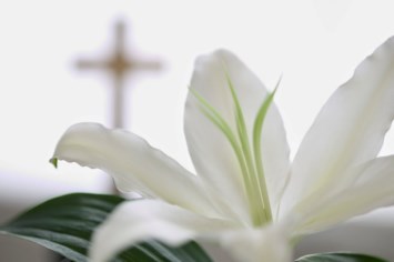 Obituary of Patricia Anne Gentry