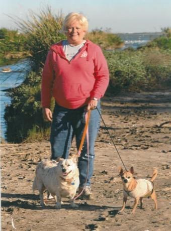Obituary of Sally Ann Lewis