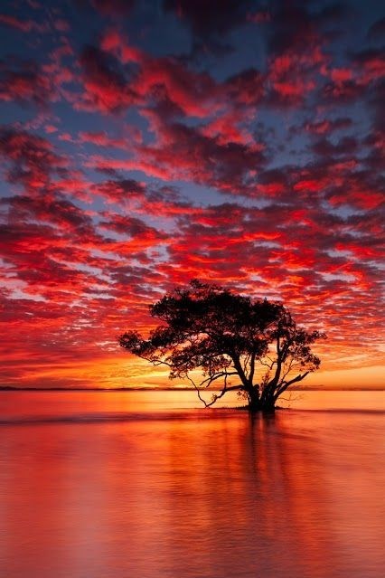 Avis de décès de Grace P. Williams