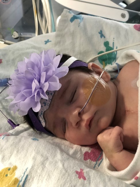 Obituary of Catalina Michelle Munoz