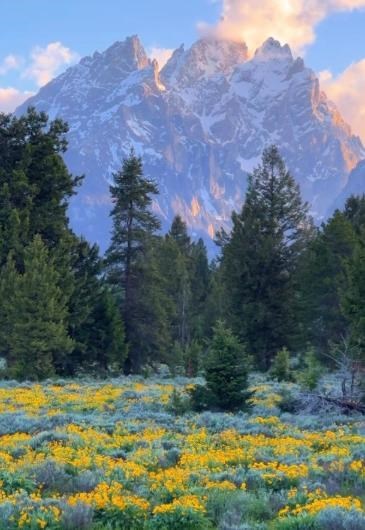 Obituary of John Jefferson Burks III