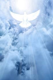 Obituary of Janice L. Masin