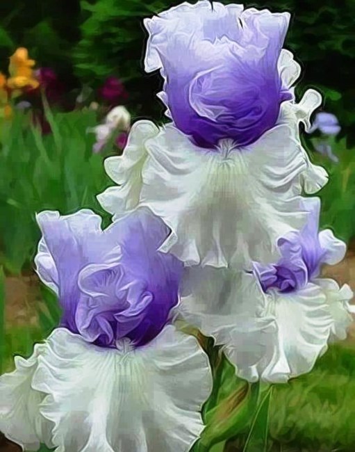 Obituary of Laura Marlyn Newell