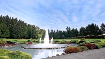 Obituary of Violet Maydine Rabin