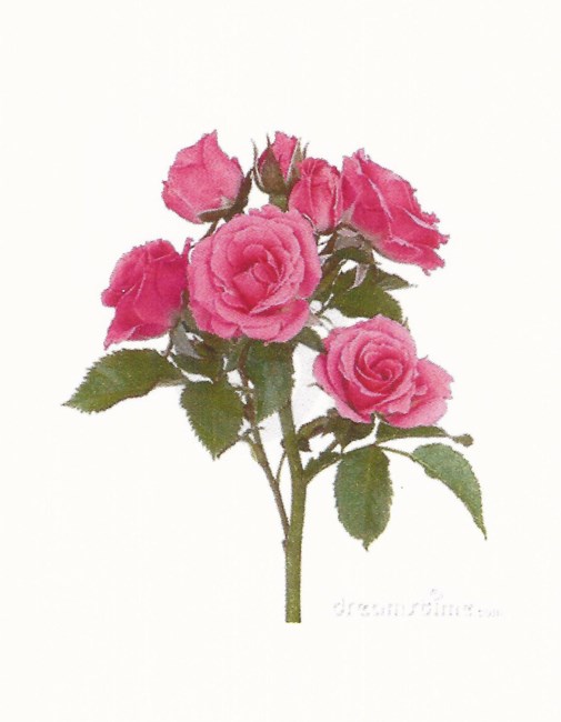 Avis de décès de Patricia Ann Driver