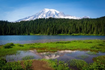 Obituary of Robert Ranney Montgomery