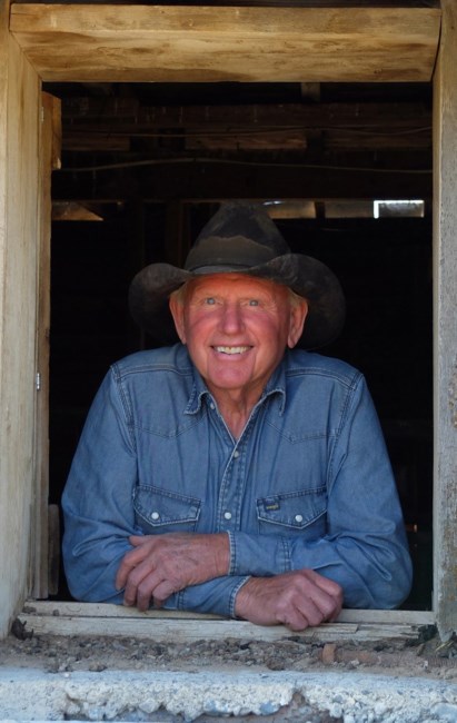 Obituary of Douglas William Albright Sr.