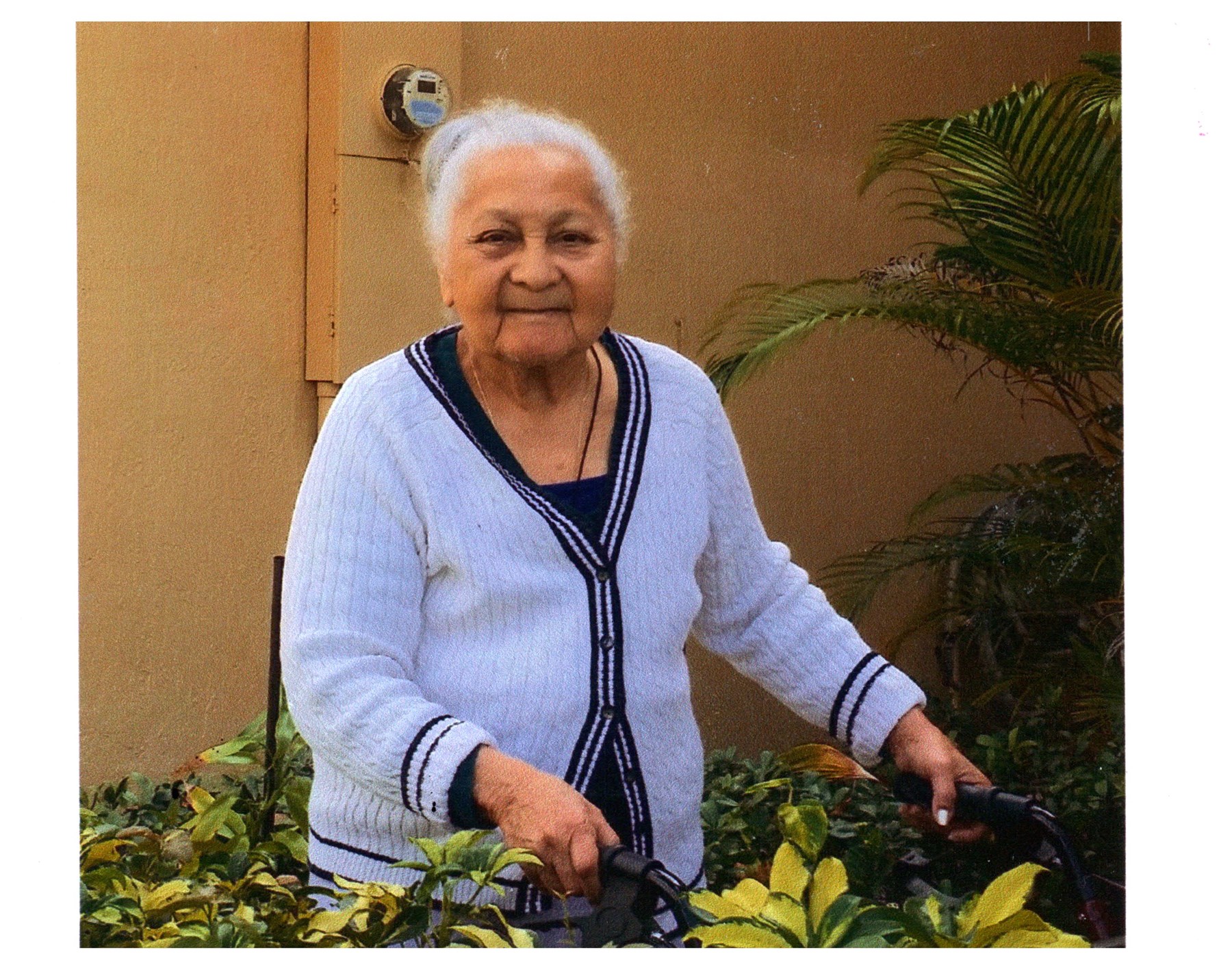 Obituary of Olga Vega-Rivera