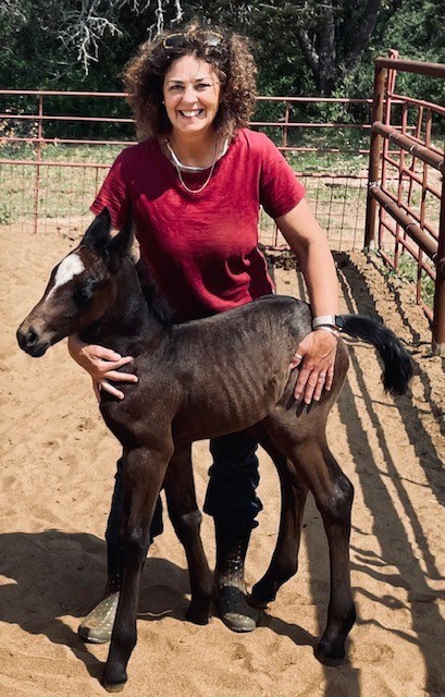 Obituary of Tammy Lynne Smith