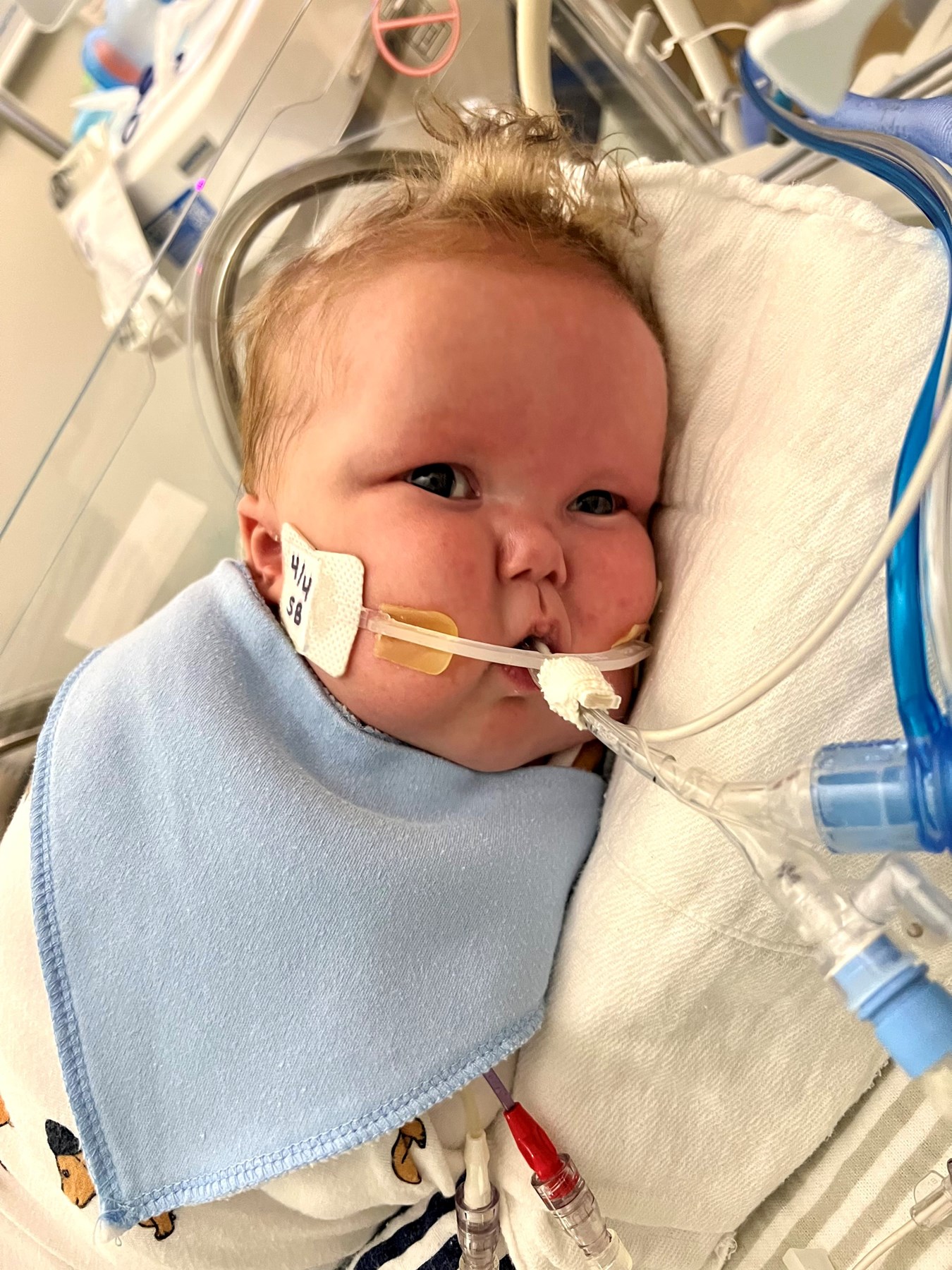 Avis de décès de Weston Michael Stoddard