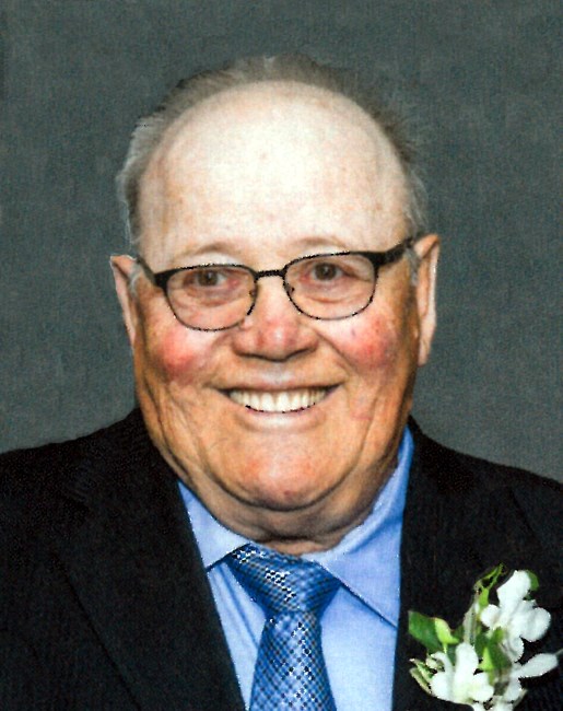 Obituary of Alfredo Lisi
